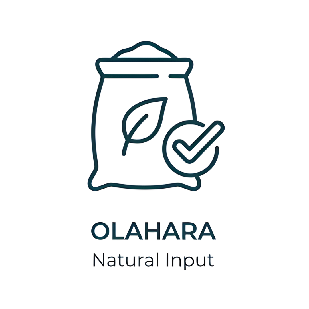 logo olahara