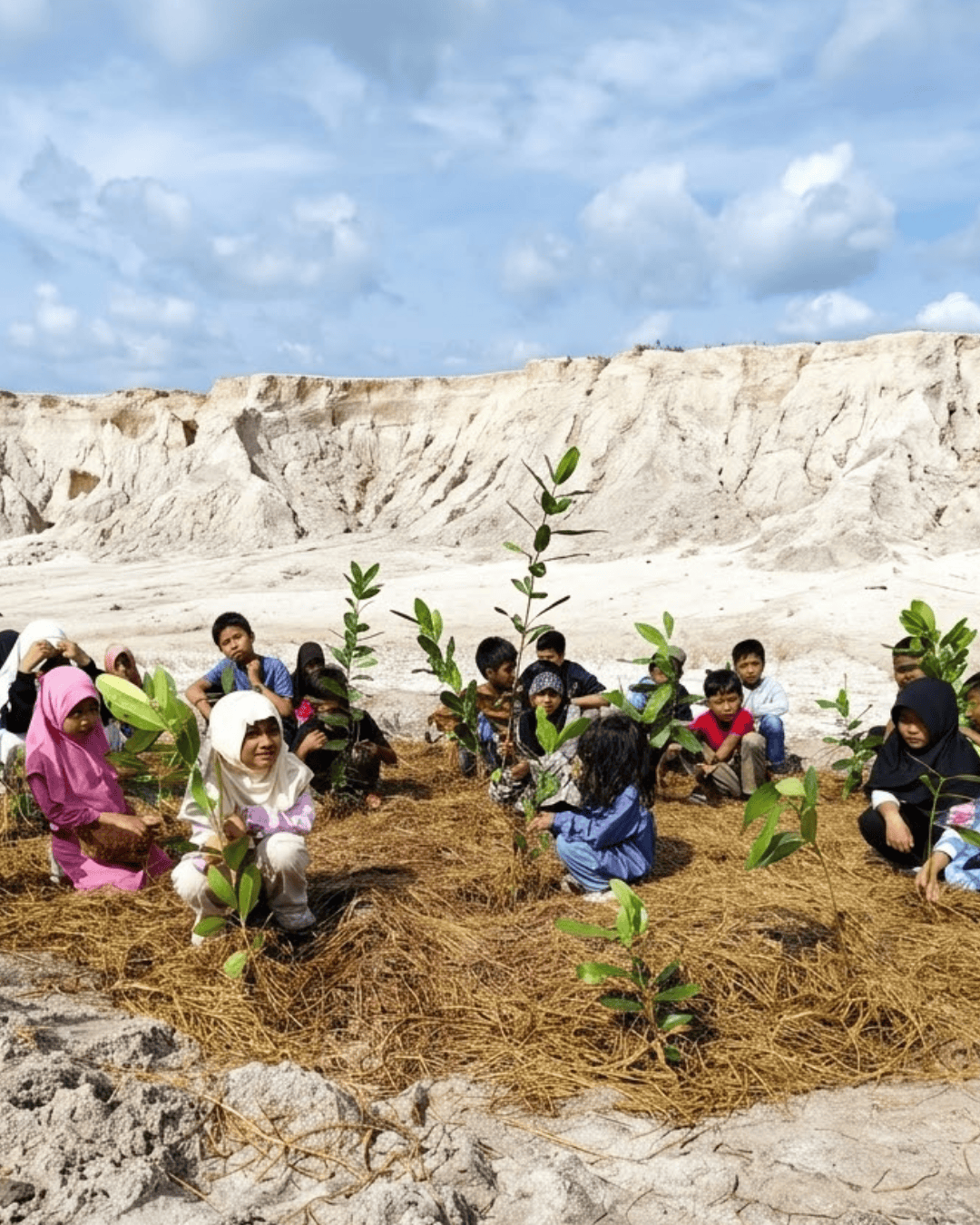 Penanaman di gurun bekas lahan tambang timah